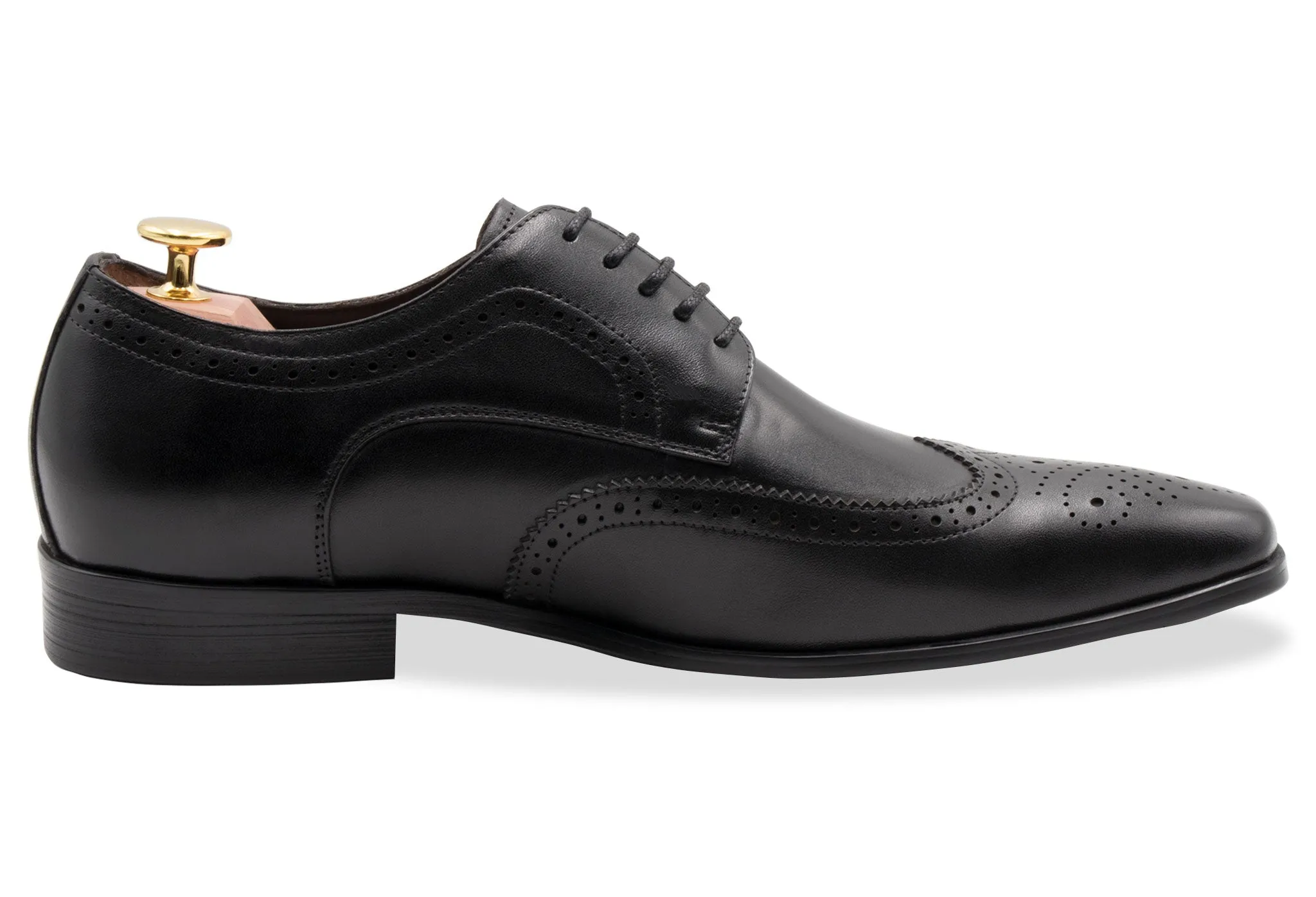 Caseros Wingtip Black Derby