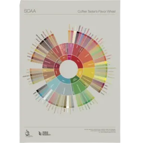 Lexicon Flavour Wheel - SCAA