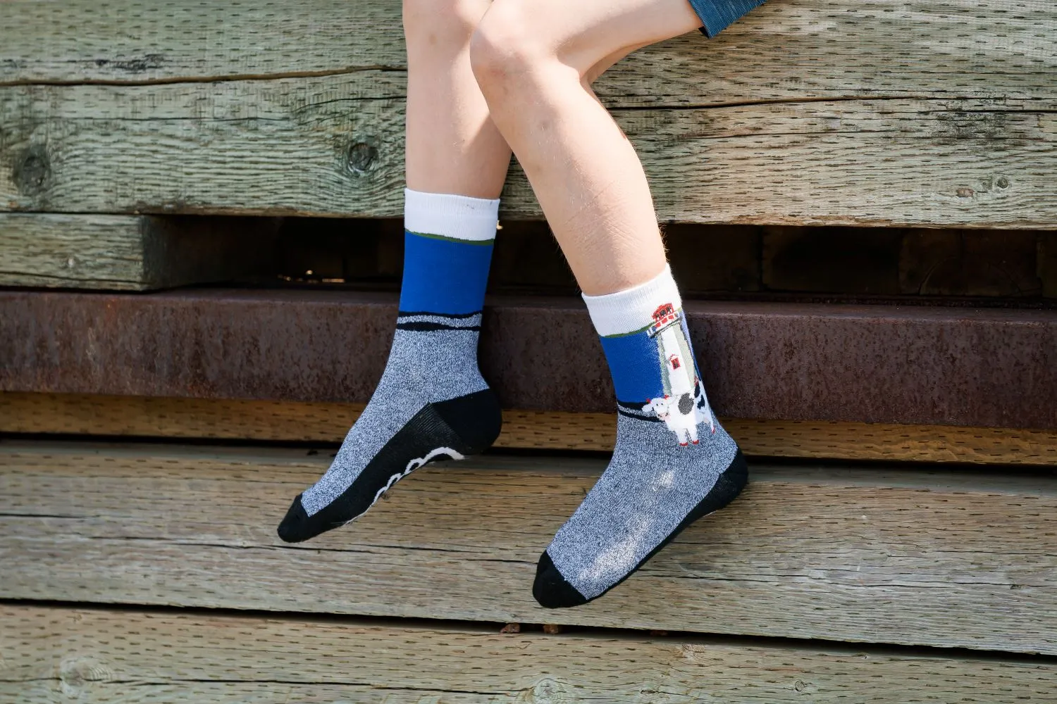 Lighthouse Adult Socks